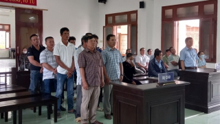 Xét xử vụ phá rừng tại Phú Yên: 5 án tù giam và 5 án treo