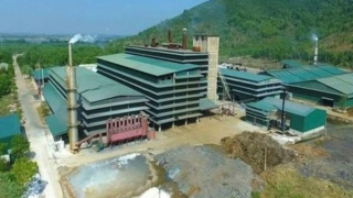 Xử phạt Công ty cổ phần Cromit Nam Việt hơn 3 tỷ đồng