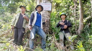 Hiệu quả bền vững khi cộng đồng tham gia bảo vệ và phát triển rừng