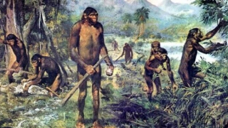 Xưởng chế tạo công cụ 1,2 triệu năm tuổi