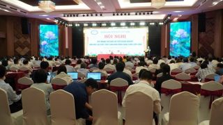 “Gỡ” vốn cho doanh nghiệp vùng đồng bằng sông Cửu Long