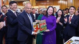 Thúc đẩy hợp tác nhiều mặt giữa Việt Nam - Nam Phi