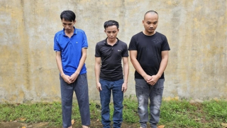 Hám mua vật liệu giá rẻ, sập bẫy đôi bạn tù