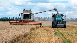 Ngũ cốc của Ukraine chưa hết gặp khó