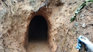 Rừng đặc dụng nhiều lần bị "vàng tặc" đột nhập