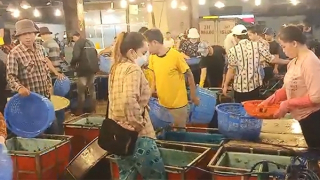 Trả lại bình yên cho chợ đầu mối Bình Điền