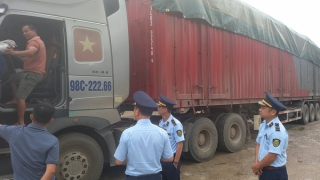 Vận chuyển cả xe đầu kéo hàng giả nhãn hiệu Gucci, Chanel, một công ty bị phạt 300 triệu