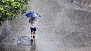 Mưa trải khắp 3 miền, Bắc Bộ nhiệt độ tăng nhẹ