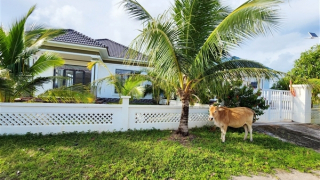 Cưỡng chế 14 căn biệt thự xây dựng không phép trên đất rừng phòng hộ tại Phú Quốc