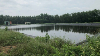 Kiểm tra, xử lý 328 trang trại chăn nuôi chưa đảm bảo về môi trường