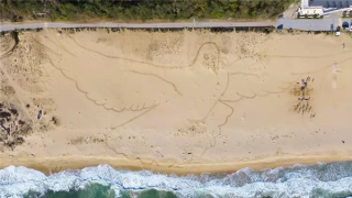 Bức tranh khổng lồ trên cát