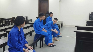 Cướp tài sản của người nước ngoài, nam phiên dịch lĩnh 13 năm tù