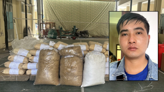 Đột kích "xưởng” chế biến, thu giữ gần 7 tạ thảo dược nghi cỏ Mỹ