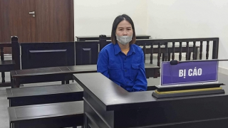 Dụ góp vốn buôn mỹ phẩm rồi chiếm đoạt hơn 12 tỷ đồng