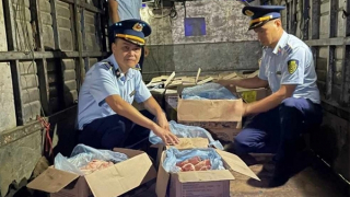 Xe tải chở gần tấn chân giò nghi nhập lậu từ Trung Quốc