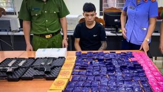 Mang 2 súng đi “sưu tập” ma túy