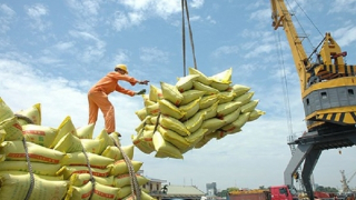 Doanh nghiệp cần theo dõi chặt chẽ tình hình thương mại gạo toàn cầu