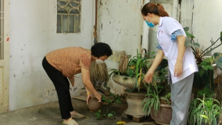 Hà Nội thêm 95 ổ dịch sốt xuất huyết trong 1 tuần