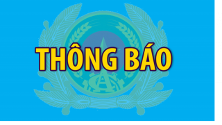 Tìm 17 bị hại trong vụ lừa đảo đưa người đi lao động và cư trú trái phép tại Malaysia