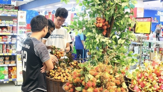 Để sản phẩm vùng đồng bào dân tộc tham gia vào chuỗi cung ứng