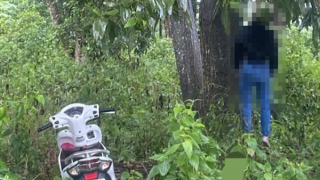 Người phụ nữ tử vong trong tư thế treo cổ tại rừng tràm