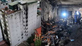 Lòng tham và thảm họa