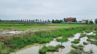 Ngang nhiên bao chiếm đất nông nghiệp của 18 hộ dân