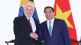 Việt Nam - Brazil ra Thông cáo chung
