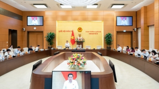 Vì sao Chính phủ đề xuất giảm tổng mức đầu tư và đất thu hồi Dự án sân bay Long Thành?