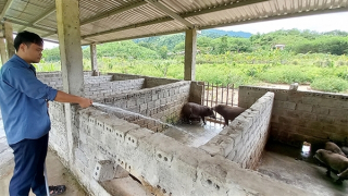 Cách làm hay trong xóa đói giảm nghèo ở huyện miền núi Nam Giang