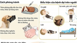 64 ca tử vong vì bệnh dại trong 9 tháng đầu năm