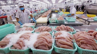 Phát triển thương hiệu Việt Nam tại thị trường CPTPP