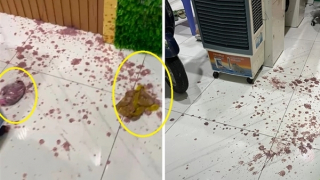 Tiệm Spa bị “khủng bố” tinh thần bằng mắm tôm