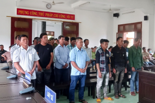 Tuyên án 27 bị cáo trong vụ phá rừng Hòn Đót ở Phú Yên