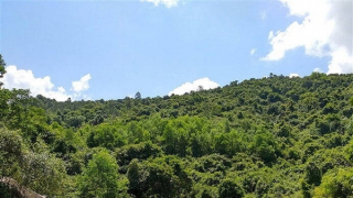 Phát hiện bộ xương nghi người mất tích cách đây hơn 1 năm khi vào rừng tìm trầm