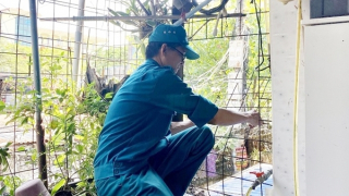 Hải Phòng đồng loạt hưởng ứng mở lối thoát nạn “chuồng cọp”