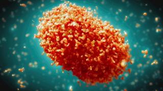 TP Hồ Chí Minh phát hiện thêm một trường hợp mắc bệnh đậu mùa khỉ