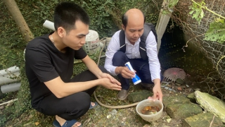 Hà Nội: Sốt xuất huyết, tay chân miệng tăng "chóng mặt"