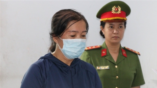 Lừa vay tiền đáo hạn, chiếm đoạt hơn 29 tỷ đồng