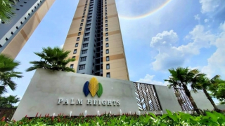 Nhiễm khuẩn là nguyên nhân chính gây ngộ độc tại chung cư Palm Heights