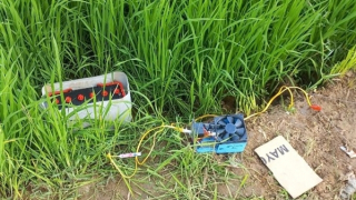 Bẫy điện bắt chuột gây chết người