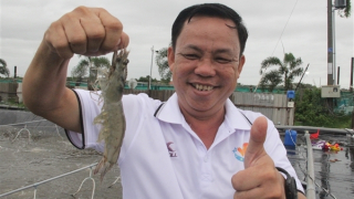 Nông dân 'triệu USD' nhờ mô hình nuôi tôm công nghệ cao