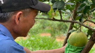 Nhiều cách làm hay giúp giảm thiểu rác thải nhựa ra môi trường