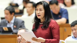 Hội Nghệ sỹ nhiếp ảnh đề nghị xét NSND, NSƯT cho nhà nhiếp ảnh khi xây dựng dự thảo Nghị định