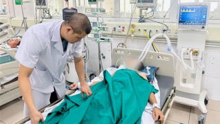 Phát bệnh dại sau 1 tháng bị mèo cắn