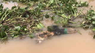 Công an Đồng Tháp tìm tung tích thanh niên nghi bị sát hại thả trôi sông