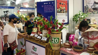 Việt Nam sẽ được hưởng lợi từ xu thế dịch chuyển đầu tư của EU