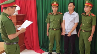 Khai thác trái phép 56 cây gỗ rừng tự nhiên, 3 đối tượng bị khởi tố