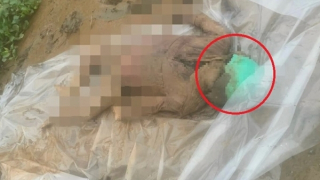 Phát hiện thi thể người phụ nữ đầu đội mũ bảo hiểm nổi dưới rạch