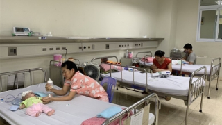 Hà Nội ghi nhận ca viêm não Nhật Bản đầu tiên